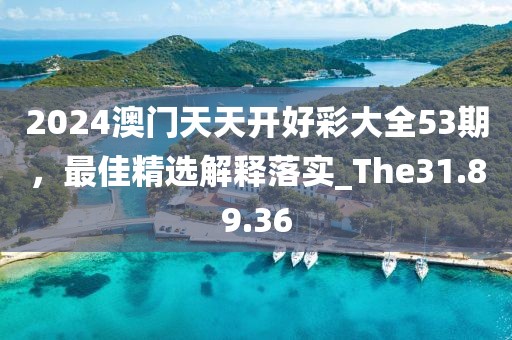 2024澳門天天開好彩大全53期，最佳精選解釋落實_The31.89.36
