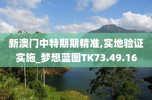 新澳門中特期期精準,實地驗證實施_夢想藍圖TK73.49.16