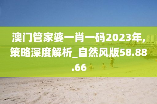 澳門管家婆一肖一碼2023年,策略深度解析_自然風版58.88.66