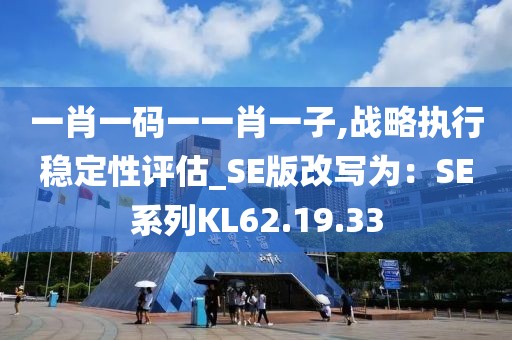 一肖一碼一一肖一子,戰略執行穩定性評估_SE版改寫為：SE系列KL62.19.33