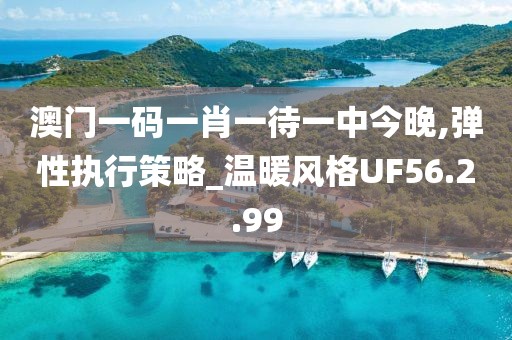 澳門一碼一肖一待一中今晚,彈性執行策略_溫暖風格UF56.2.99