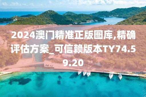 2024澳門精準正版圖庫,精確評估方案_可信賴版本TY74.59.20