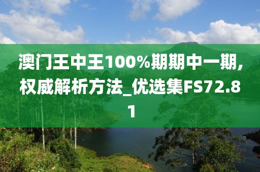 澳門王中王100%期期中一期,權威解析方法_優選集FS72.81