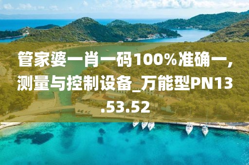 管家婆一肖一碼100%準確一,測量與控制設備_萬能型PN13.53.52