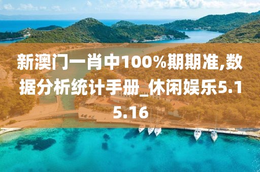 新澳門一肖中100%期期準,數據分析統計手冊_休閑娛樂5.15.16
