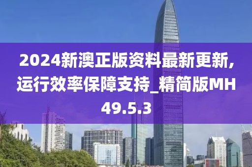 2024新澳正版資料最新更新,運行效率保障支持_精簡版MH49.5.3