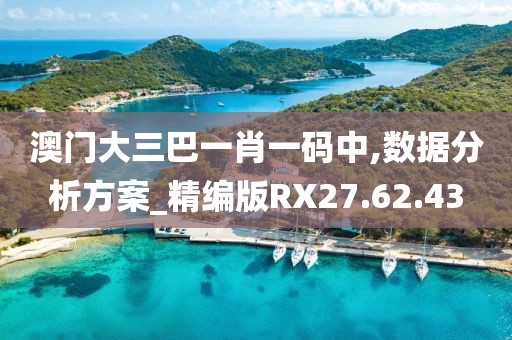 澳門大三巴一肖一碼中,數據分析方案_精編版RX27.62.43
