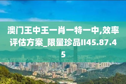 澳門王中王一肖一特一中,效率評估方案_限量珍品II45.87.45