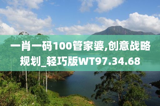 一肖一碼100管家婆,創意戰略規劃_輕巧版WT97.34.68