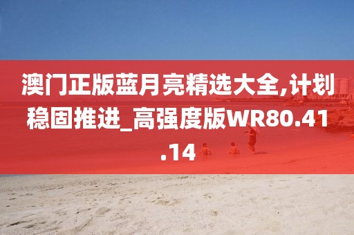 澳門正版藍月亮精選大全,計劃穩固推進_高強度版WR80.41.14
