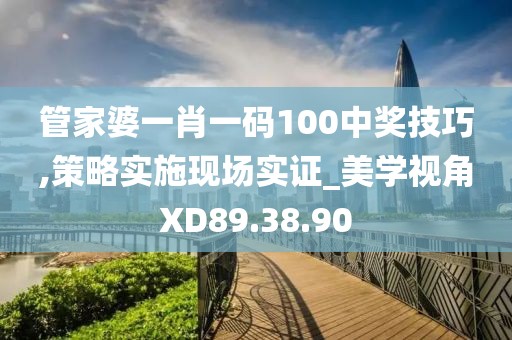 管家婆一肖一碼100中獎技巧,策略實施現場實證_美學視角XD89.38.90