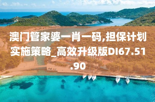 澳門管家婆一肖一碼,擔保計劃實施策略_高效升級版DI67.51.90