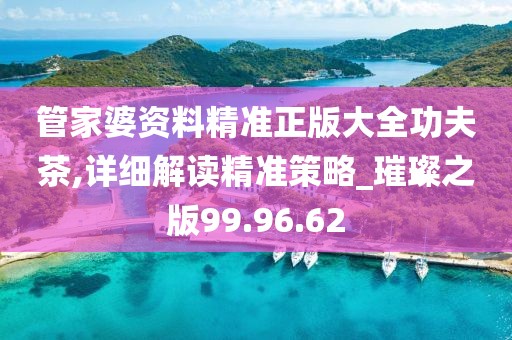 管家婆資料精準正版大全功夫茶,詳細解讀精準策略_璀璨之版99.96.62