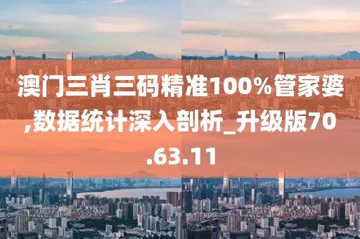 澳門三肖三碼精準100%管家婆,數據統計深入剖析_升級版70.63.11