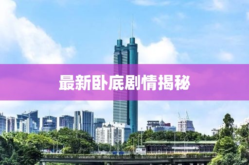 最新臥底劇情揭秘