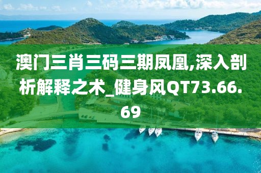澳門三肖三碼三期鳳凰,深入剖析解釋之術_健身風QT73.66.69