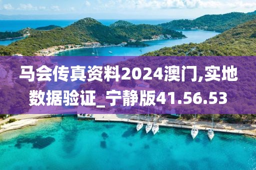 馬會傳真資料2024澳門,實地數據驗證_寧靜版41.56.53