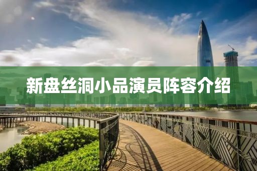 新盤絲洞小品演員陣容介紹