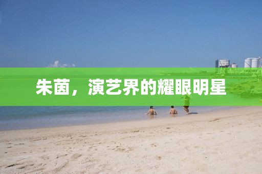 朱茵，演藝界的耀眼明星