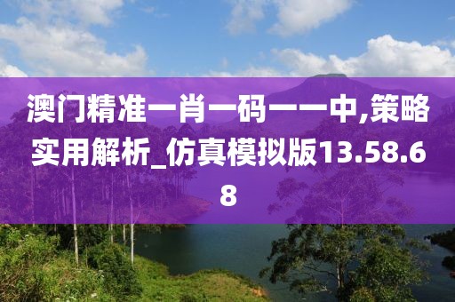 澳門精準一肖一碼一一中,策略實用解析_仿真模擬版13.58.68