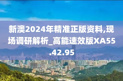 新澳2024年精準正版資料,現場調研解析_高能速效版XA55.42.95
