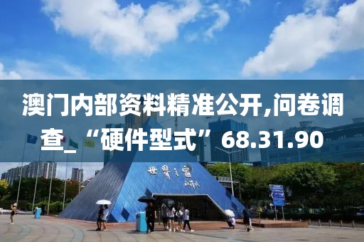 澳門內部資料精準公開,問卷調查_“硬件型式”68.31.90