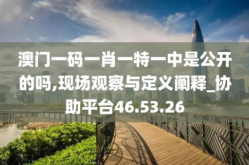 澳門一碼一肖一特一中是公開的嗎,現場觀察與定義闡釋_協助平臺46.53.26