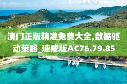 澳門正版精準免費大全,數據驅動策略_速成版AC76.79.85
