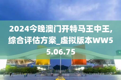 2024今晚澳門開特馬王中王,綜合評估方案_虛擬版本WW55.06.75