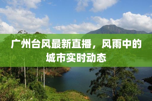 廣州臺風最新直播，風雨中的城市實時動態
