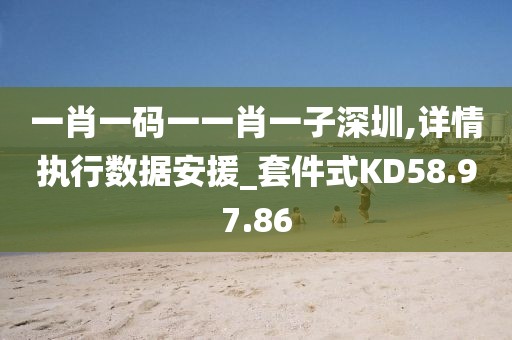 一肖一碼一一肖一子深圳,詳情執行數據安援_套件式KD58.97.86