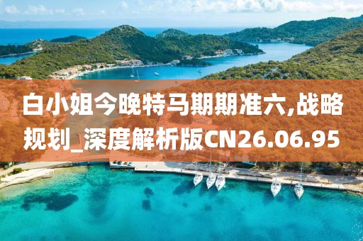 白小姐今晚特馬期期準六,戰略規劃_深度解析版CN26.06.95