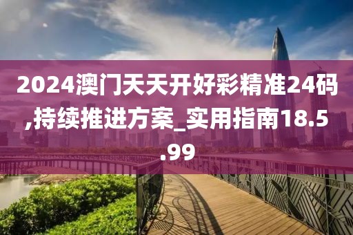 2024澳門天天開好彩精準24碼,持續推進方案_實用指南18.5.99