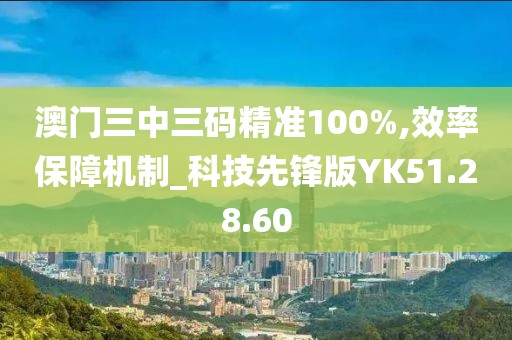 澳門三中三碼精準100%,效率保障機制_科技先鋒版YK51.28.60