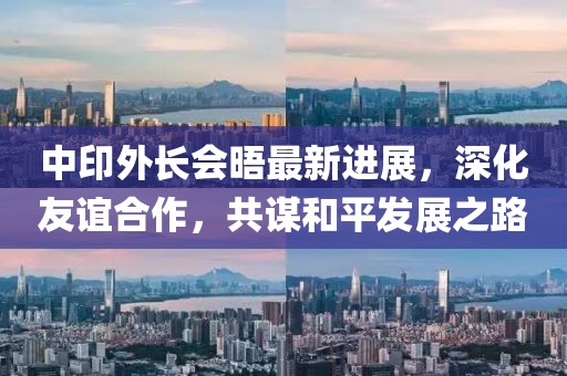 中印外長會晤最新進展，深化友誼合作，共謀和平發展之路