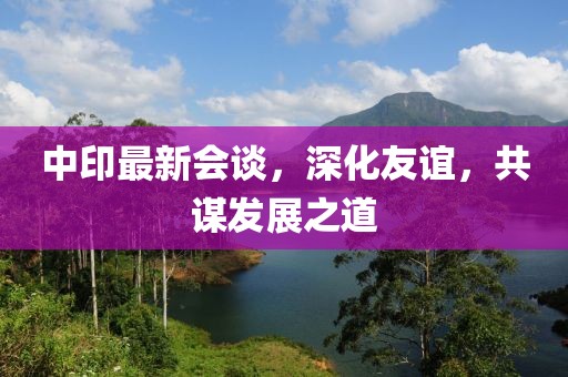 中印最新會談，深化友誼，共謀發展之道