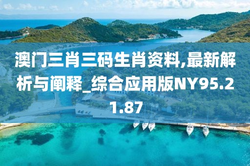澳門三肖三碼生肖資料,最新解析與闡釋_綜合應用版NY95.21.87
