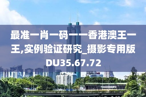 最準一肖一碼一一香港澳王一王,實例驗證研究_攝影專用版DU35.67.72