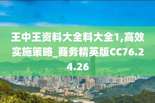 王中王資料大全料大全1,高效實施策略_商務精英版CC76.24.26