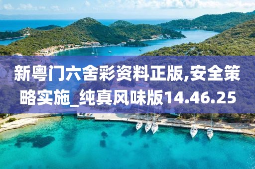 新粵門六舍彩資料正版,安全策略實施_純真風味版14.46.25