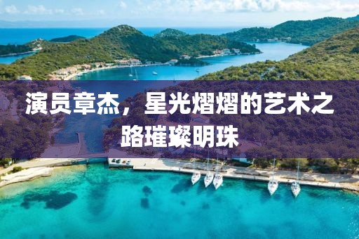 演員章杰，星光熠熠的藝術之路璀璨明珠