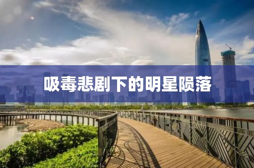 吸毒悲劇下的明星隕落