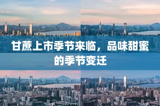 甘蔗上市季節來臨，品味甜蜜的季節變遷