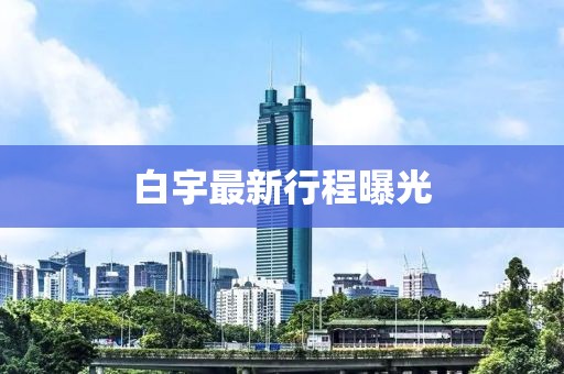 白宇最新行程曝光