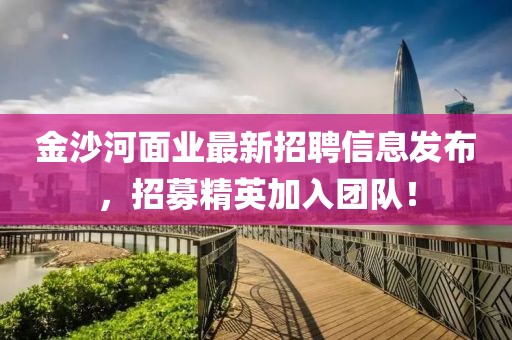 金沙河面業最新招聘信息發布，招募精英加入團隊！