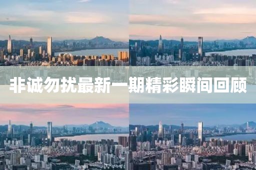 非誠勿擾最新一期精彩瞬間回顧