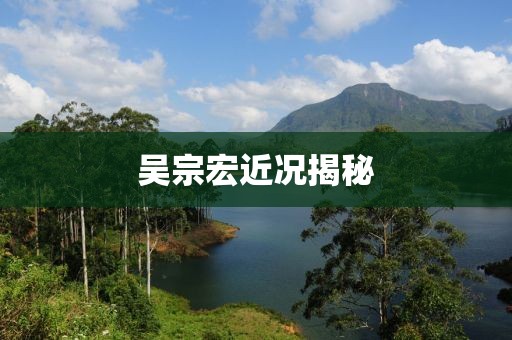 吳宗宏近況揭秘