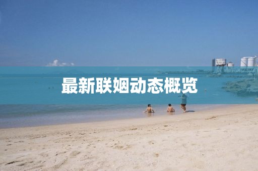最新聯姻動態概覽