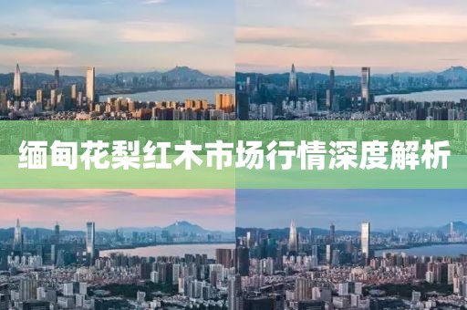 蹇子寧 第5頁