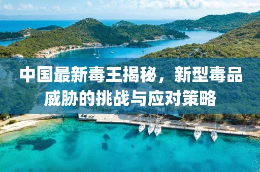 中國最新毒王揭秘，新型毒品威脅的挑戰與應對策略